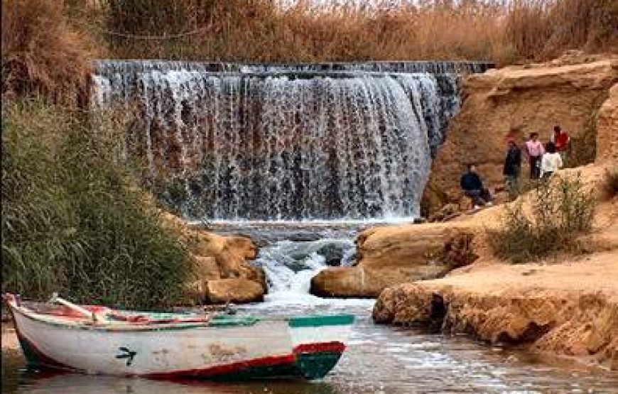 Fayoum Oasis & Wadi Al Rian Day Tour from Cairo